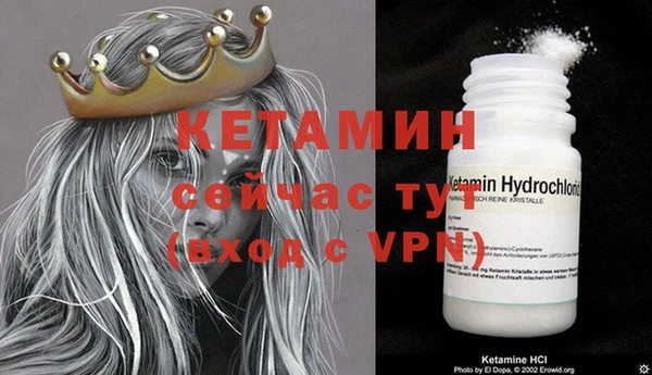 крисы Майский