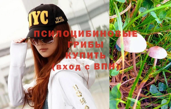 крисы Майский